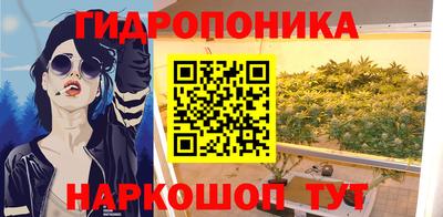 шишки Азнакаево