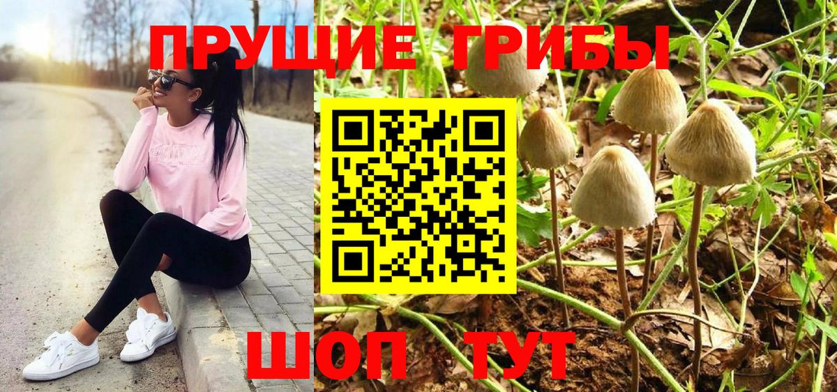 ГАШ  Лсд 25  Каннабис  Меф МЯУ МЯУ   ГАШИШ  Алейск  Вход с VPN 