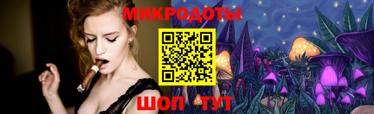 Псилоцибиновые грибы Cubensis Алейск